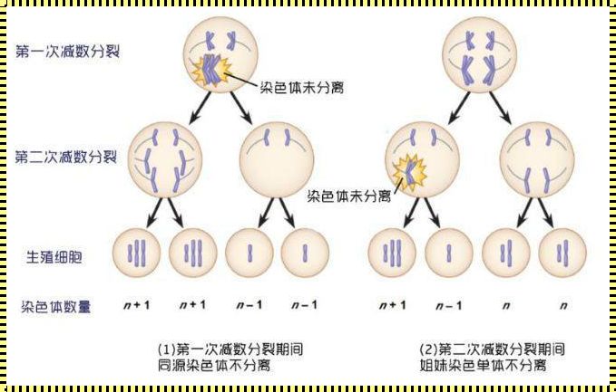 当胎儿携带21三体：一段关于爱与勇气的生育旅程