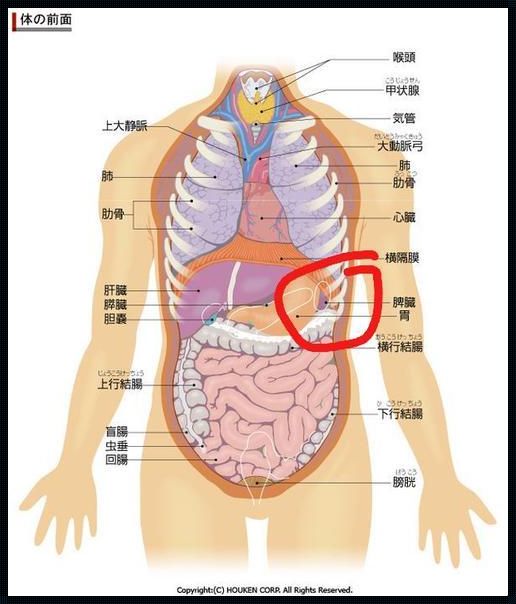 身体左侧一大力呼吸就会痛：探秘疼痛背后的信号