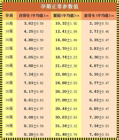 32周股骨长59mm短么？——深入解析与探讨