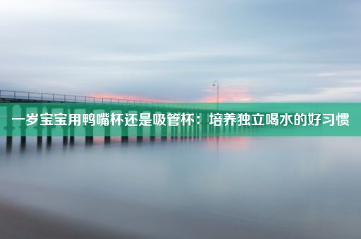 一岁宝宝用鸭嘴杯还是吸管杯：培养独立喝水的好习惯