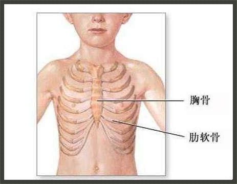 右侧肋骨里面疼是怎么回事？探寻疼痛背后的真相