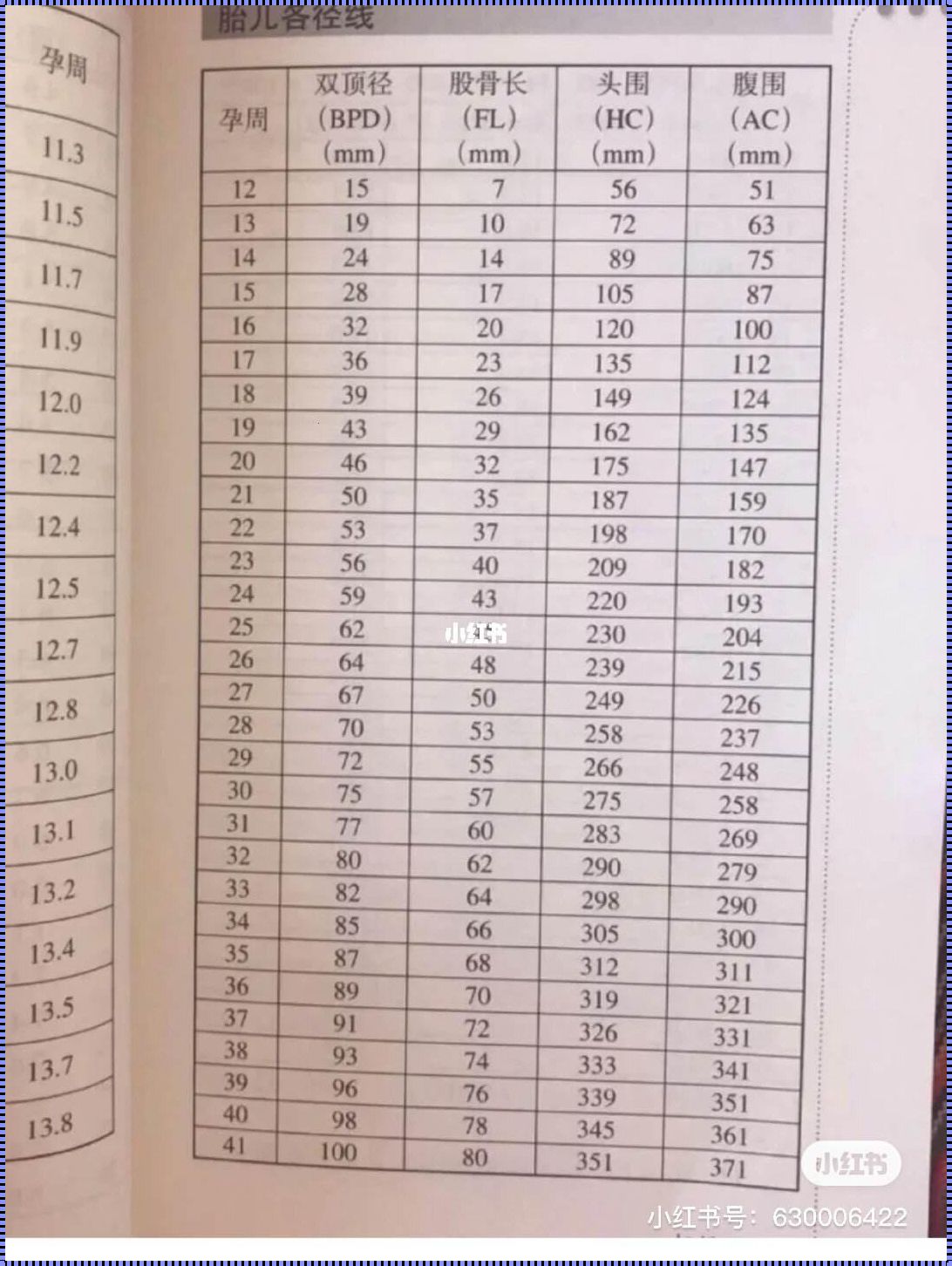 29周股骨长60mm会矮吗：婴儿成长的神秘面纱