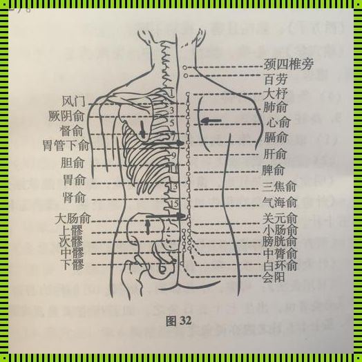 一椎大杼二风门,三椎肺俞四厥阴：探寻人体奥秘的四大穴位