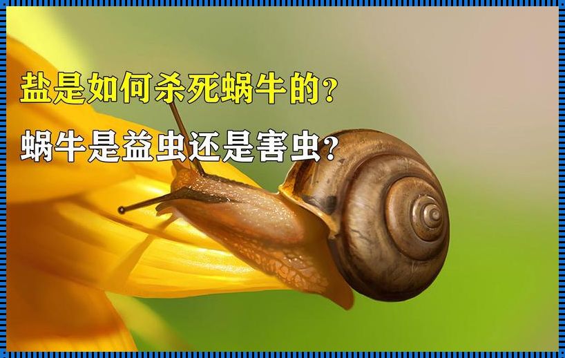 蜗牛：是益虫还是害虫？