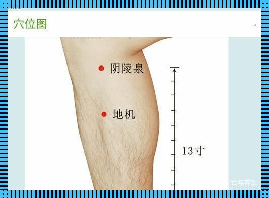 地机的神奇功效与作用位置：揭示神秘面纱下的真相