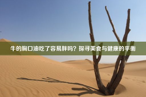 牛的胸口油吃了容易胖吗？探寻美食与健康的平衡