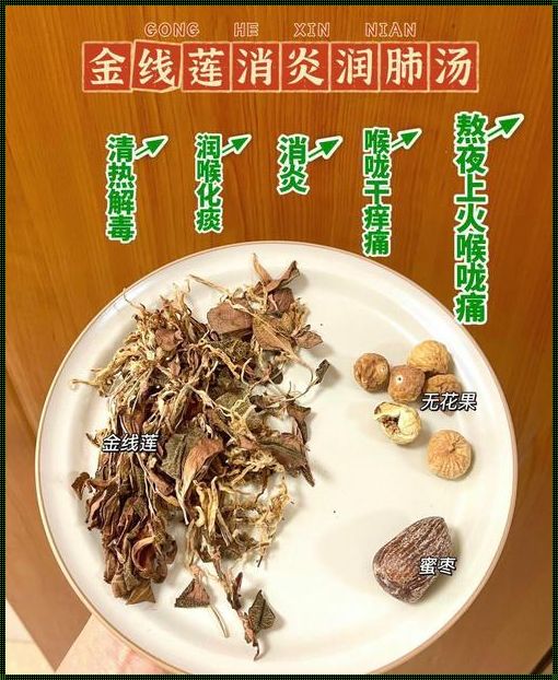 牙齿痛可以喝金线莲吗？探秘天然草药的舒缓之道