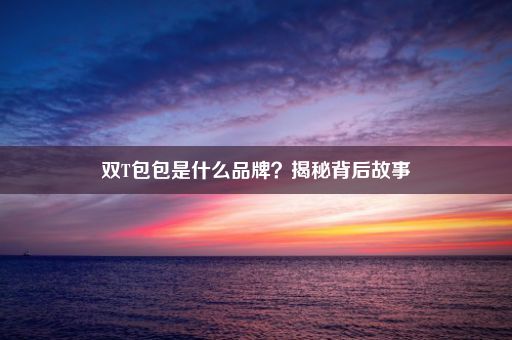 双T包包是什么品牌？揭秘背后故事