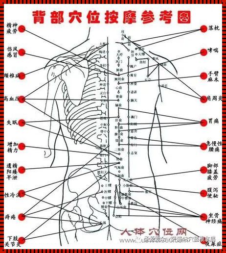 背部18个痛点的准确位置图