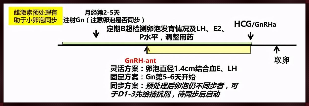 促排自然周期移植方案：新视角下的探讨