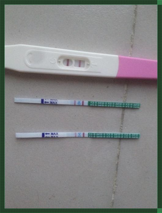 教你第3天测怀孕：深入了解早早孕检测的准确性与可能性