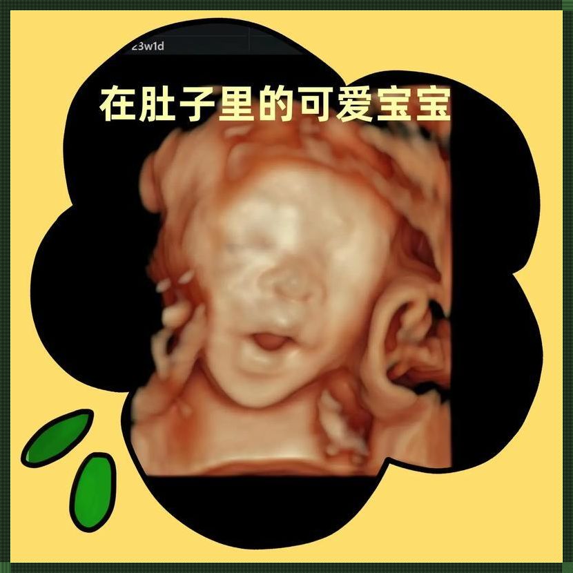 彩超怎么算胎儿多少斤：揭秘胎儿体重的计算方法