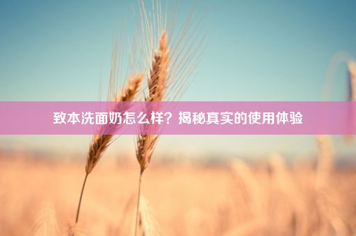 致本洗面奶怎么样？揭秘真实的使用体验