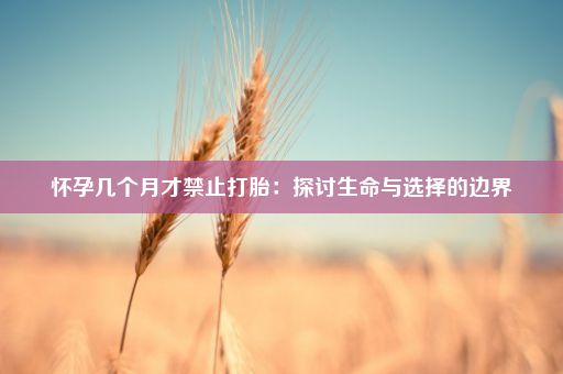 怀孕几个月才禁止打胎：探讨生命与选择的边界