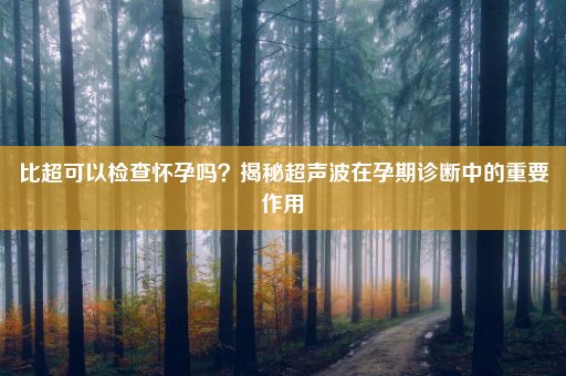 比超可以检查怀孕吗？揭秘超声波在孕期诊断中的重要作用