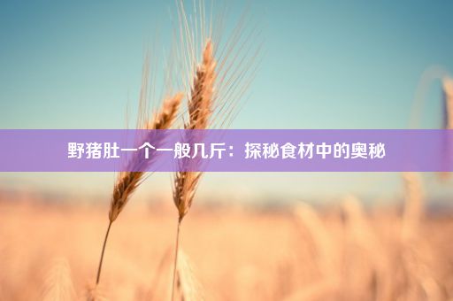 野猪肚一个一般几斤：探秘食材中的奥秘