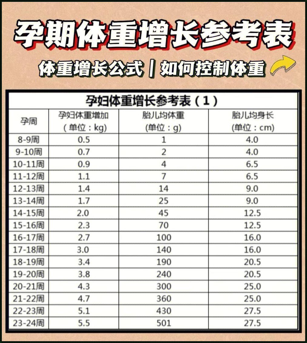 怀孕腹围增长标准：追踪腹部的蜕变之旅