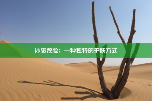 冰袋敷脸：一种独特的护肤方式