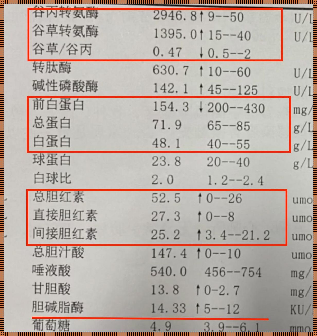 孕32周肝功能碱性磷酸酶偏高的探讨