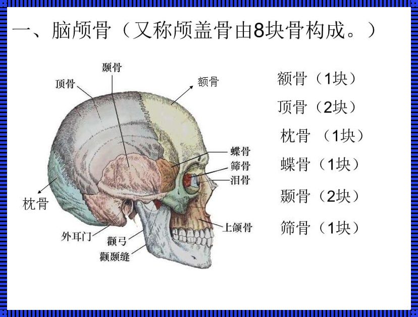 人体头部结构图及名称：揭开心灵之窗的神秘面纱