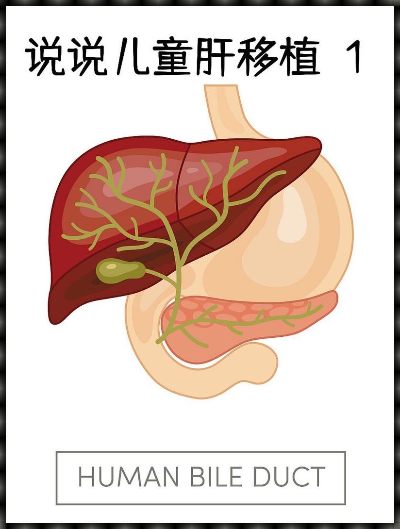 婴儿胆道闭锁原因：揭开神秘面纱