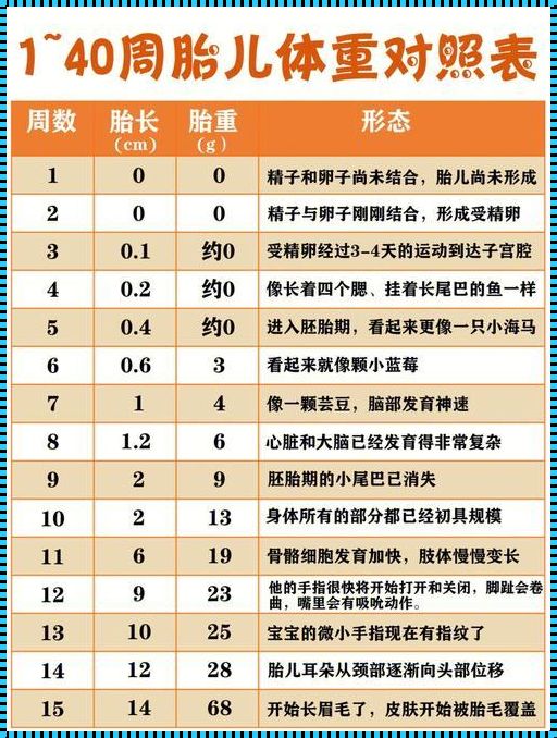 31周胎儿体重正常范围是多少