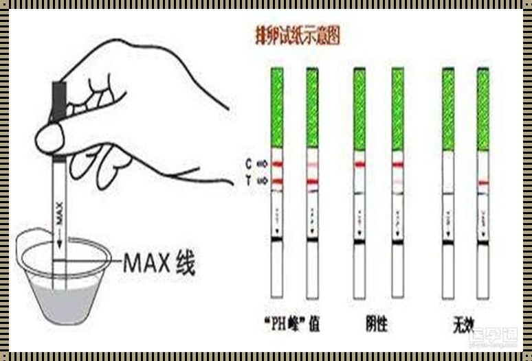 不用验孕棒怎么测试是否怀孕