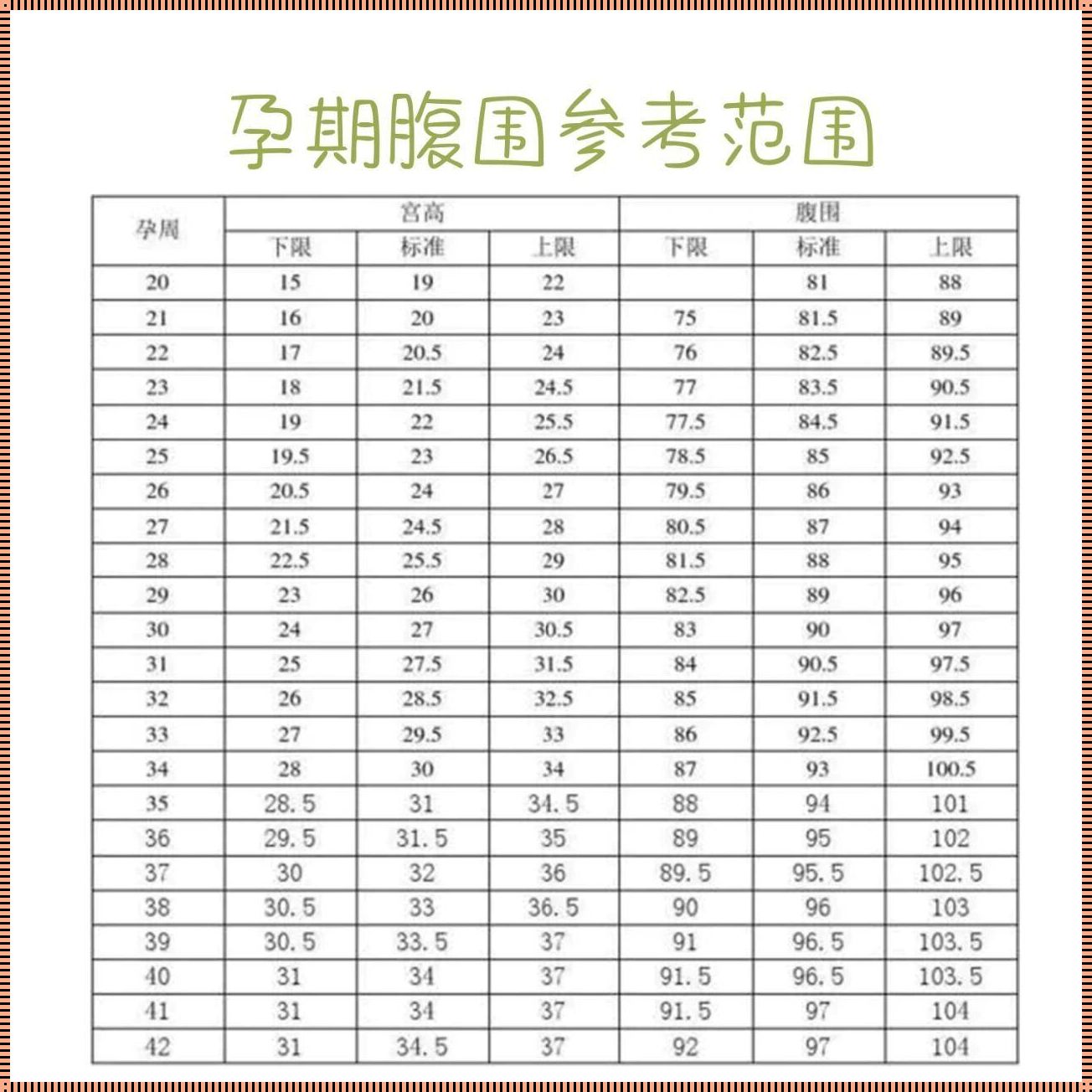 孕31周腹围270mm正常吗？深入了解孕妇腹围的标准与意义