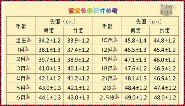 31周头围272是不是偏小：深度解析与探讨