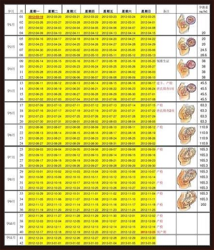 孕32周各项数据对照表：深度解析与启示