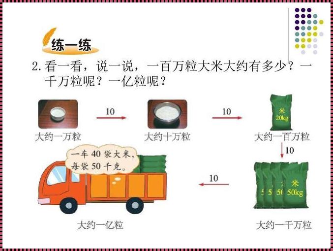 10000粒大米重多少千克：一场关于重量与价值的探寻