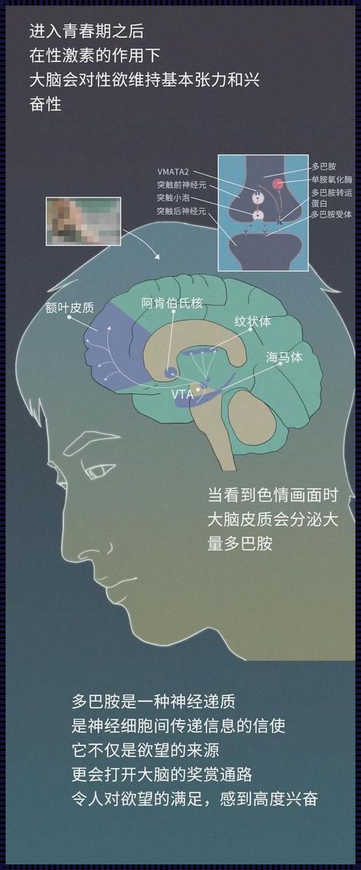 大脑长期沉浸性幻想怎么办？