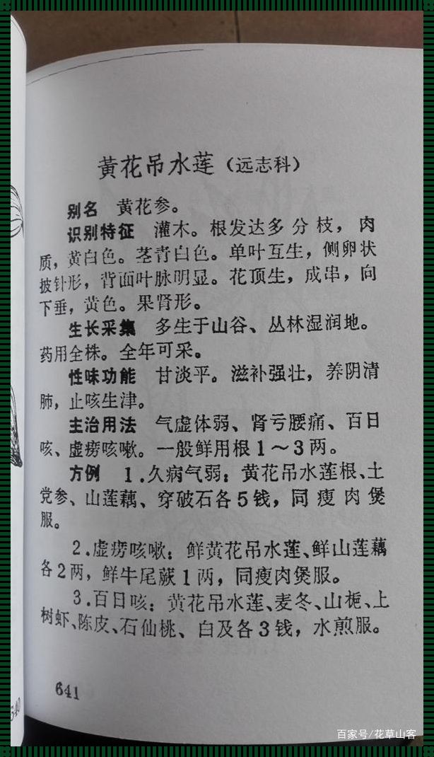 连根带花老荠菜有什么功效