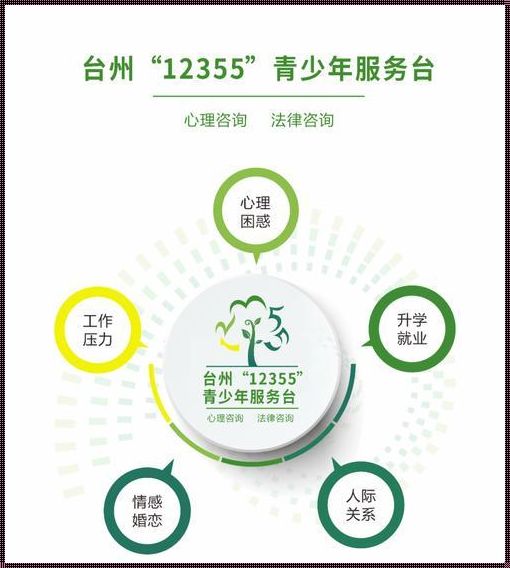 12355可以咨询什么——深入解析一条热线背后的故事