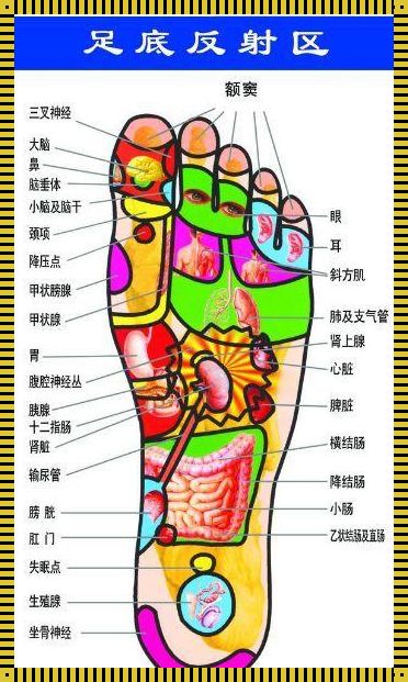 脚上鼻炎的反射区图：探索足底的神秘领域