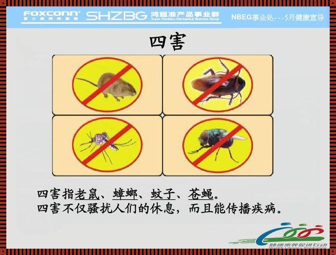 黄鼠狼咬死鸡预示什么预兆：惊现的自然法则与人类智慧的碰撞