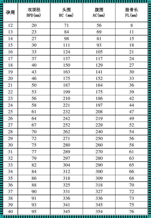 孕31周胎儿发育标准对照表：分享生命的奇迹