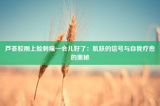 芦荟胶刚上脸刺痛一会儿好了：肌肤的信号与自我疗愈的奥秘