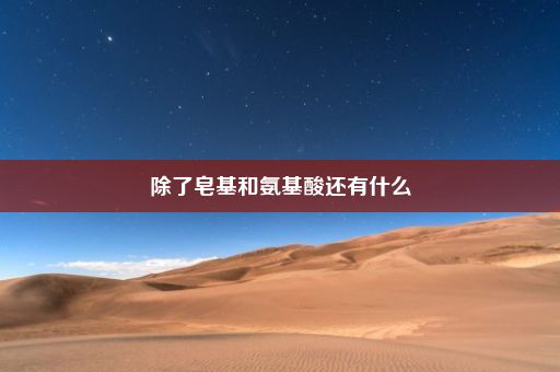 除了皂基和氨基酸还有什么