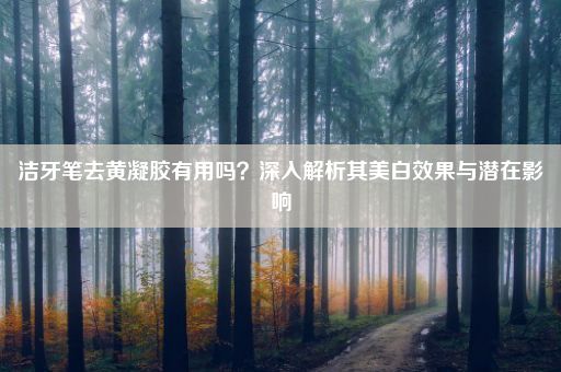 洁牙笔去黄凝胶有用吗？深入解析其美白效果与潜在影响