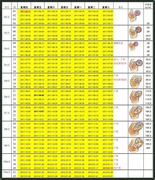 胎儿生长计算：探讨与分享