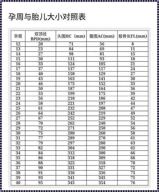 小孩双顶径标准是多少