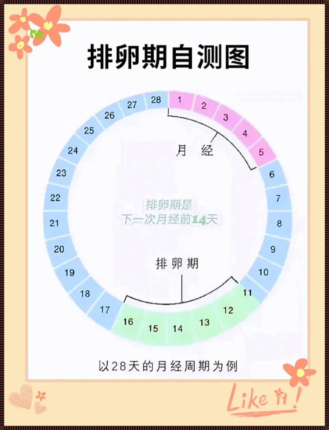 排卵期80%一定会怀孕吗：揭秘生育的奥秘与误区