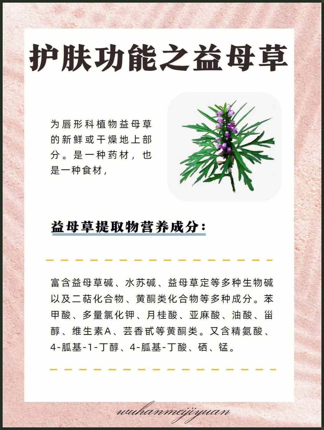 怀孕喝益母草一定会流产吗