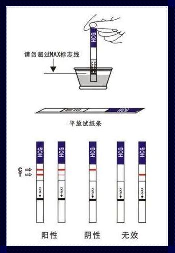 验尿检查怀孕准不准：一项深入的评测分析