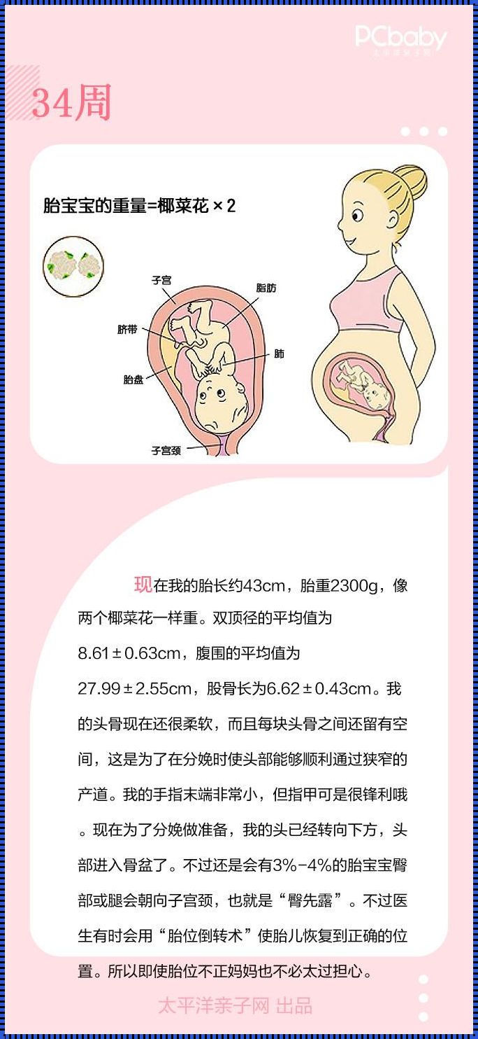 34周胎儿一般几斤：揭秘生命奇迹的重量