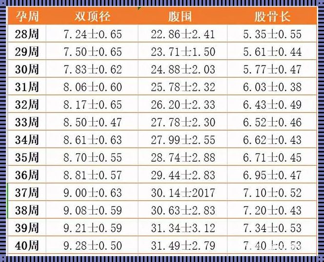 31周加双顶径股骨长标准：深入了解与精准把握