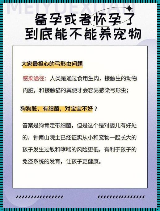 央视辟谣怀孕不能养宠物：探究背后的真相