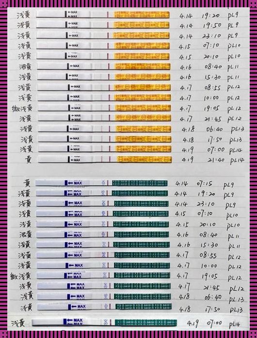 怀孕hcg什么时候下降：深入了解与探讨