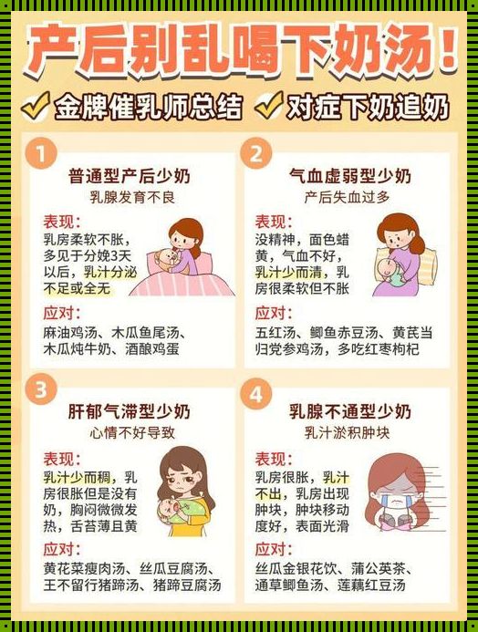 为什么哺乳期来大姨妈要断奶：深入探讨生理与心理的交织影响